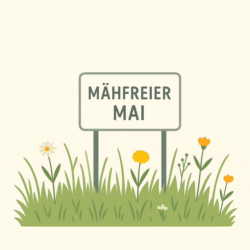 Mähfreier Mai – Warum es sich lohnt, den Rasenmäher stehen zu lassen