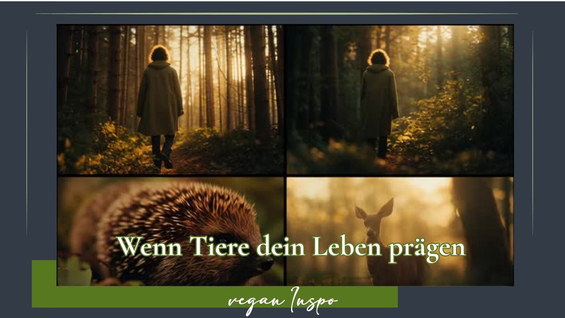 Das Bild zeigt eine Zusammenstellung aus 4 Bildern im Wald. Schöne Abendstimmung. Eine Person mit dem Rücken zur Kamera läuft in den Wald hinein. Nahaufnahme eines Igels. Porträt eines Rehs. Text: Wenn Tiere dein Leben prägen.